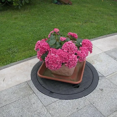 Komfort Und Naturflucht, Lichtenhain, Cleaning Included Apartment